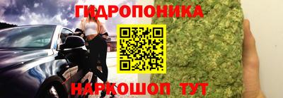 сатива Славгород
