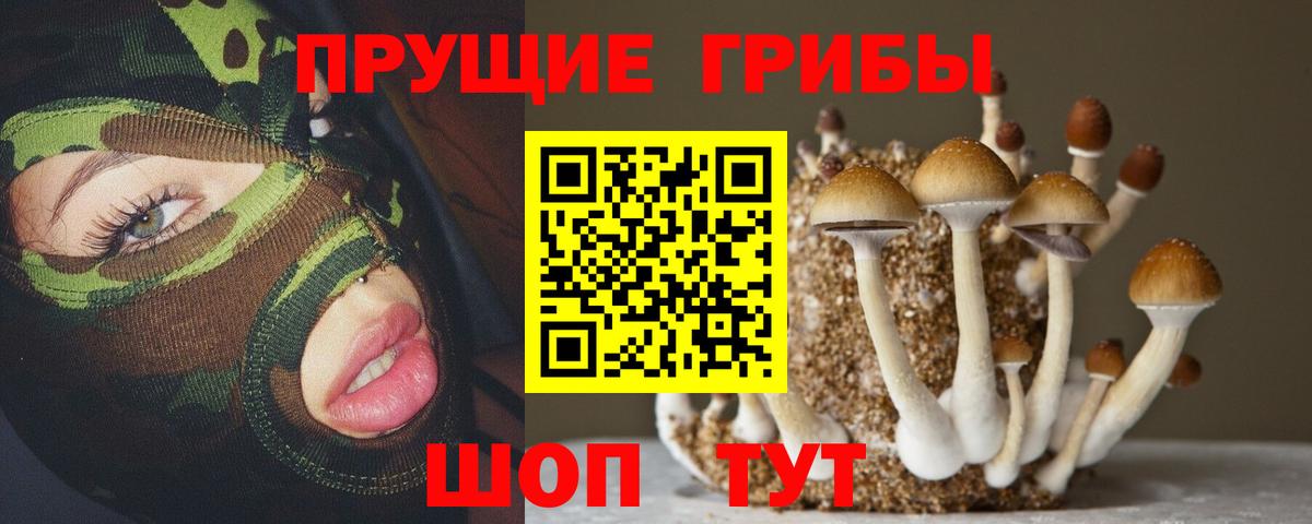 Рославль  Псилоцибиновые грибы Magic Shrooms  Вход с VPN 